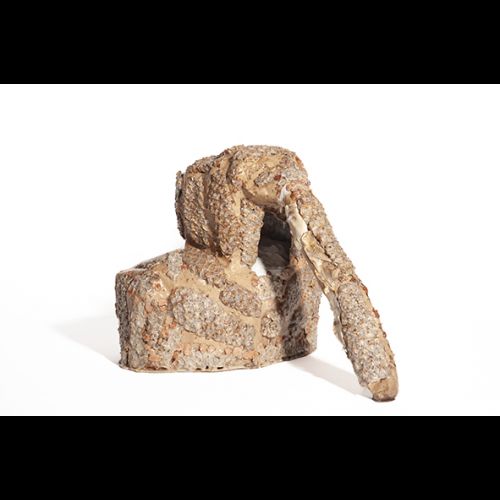 Um busto para o mais excelente pioneiro do cultivo do abacaxi