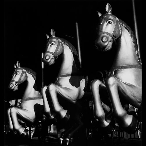 Circo de cavalinhos
