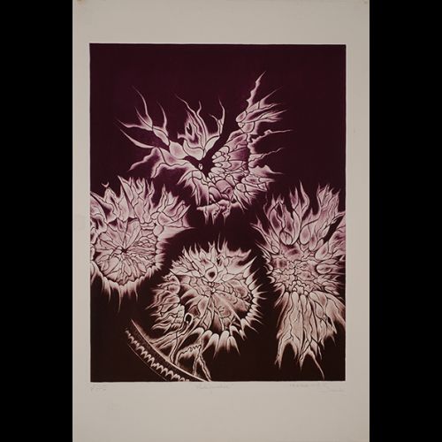 Proliferative