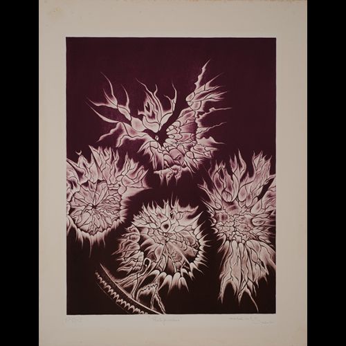 Proliferative
