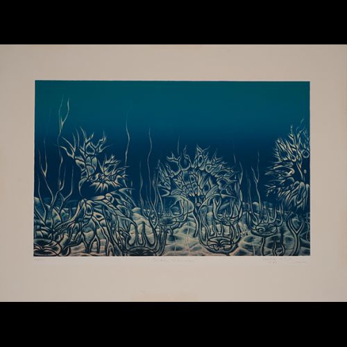 Jardim Submerso