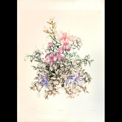 Azaleias