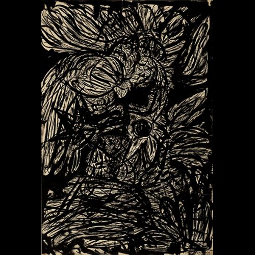 Estudo - Briga de galos