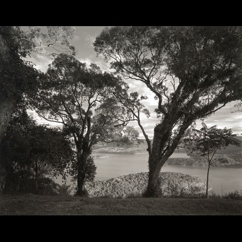 Paisagem com árvores e lago